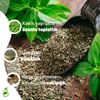 ERDEMLİ YAYLA KEKİĞİ 35GR.