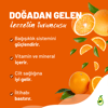 Mevsimlik ÜrünlerLİVOKADOYAFA PORTAKALI 1KG
