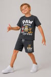 Erkek Çocuk Pawpatrol Gri Şortlu Takım