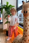 Unisex Gabardin Pantolonlu Ördekli Kırmızı Çizgili Takım