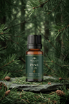 Çam (Pine) Esansiyel Yağı 10 ml – Doğal Uçucu Yağ | Aromaterapi, Difüzör, Buhurdanlık