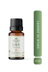 LİLYUM