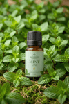 Nane (Mint) Esansiyel Yağı 10 ml – Doğal Uçucu Yağ | Aromaterapi, Difüzör, Buhurdanlık