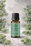 Okaliptus (Eucalyptus) Esansiyel Yağı 10 ml – Doğal Uçucu Yağ | Aromaterapi, Difüzör, Buhurdanlık