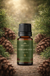 Sedir (Cedarwood) Esansiyel Yağı 10 ml – Doğal Uçucu Yağ | Aromaterapi, Difüzör, Buhurdanlık