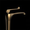 FA-6012 Fırçalanmış Altın Lavabo Bataryası FA-6012