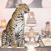 Leopar Masa Üstü Ayaklı Pano