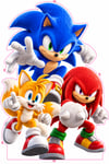 Sonic Parti KonseptiSonic ve Arkadaşları Ayaklı Pano