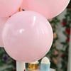 Toz Pembe Balon 20 Adet