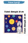 Tavşanlı Gezegen Sticker Seti 30x30 cm Cam Duvar Sticker Seti
