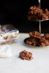SÜTLÜ ROCHERS