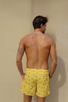ERKEKMIAMI BEACHMiami Beach MB13-101 ERKEK ŞORT