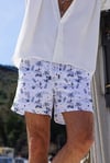 ERKEKMIAMI BEACHMiami Beach MB13-355 ERKEK ŞORT