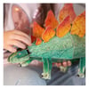3D Stegosaurus -Book And 3D Model