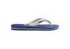 Havaianas Erkek Plaj Terliği 4110850 