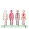 Human Body - The Ultimate Atlas