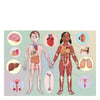 Human Body - The Ultimate Atlas