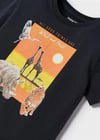 Mayoral Erkek Çocuk Gri Tshirt