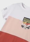 Mayoral Erkek Çocuk Kahverengi Set-Şort Ve Tshirt-Örme-Renk 