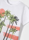 Mayoral Erkek Çocuk Yeşil Set-Şort Ve Tshirt-Örme 
