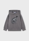 Mayoral Gri Erkek Çocuk Dinazor Baskılı Kapüşonlu Sweatshirt 4407