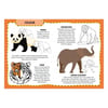 My First Activities Arts And Crafts - Animals