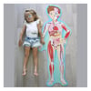 Travel- Learn And Explore - The Human Body