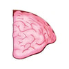 Travel- Learn And Explore - The Human Body