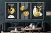 Alüminyum Çerçeveli Sanat Temalı 3'lü Set MDF Tablo 0008