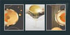 Alüminyum Çerçeveli Sanat Temalı 3'lü Set MDF Tablo 0080