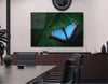 Thema Natur auf bedrucktem Glas
