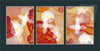 Alüminyum Çerçeveli Sanat Temalı 3'lü Set MDF Tablo 0021