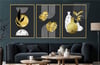 Alüminyum Çerçeveli Sanat Temalı 3'lü Set MDF Tablo 0008