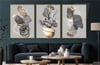 Alüminyum Çerçeveli Sanat Temalı 3'lü Set MDF Tablo 0084