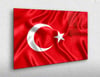 VATAN TEMALI TABLOLAR