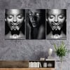 SANAT TEMALI CAM TABLO SETİ