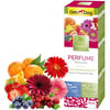 GimDog Çiçek ve Meyve Kokulu Parfüm 50ml