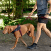 Rogz Airtech Classic Köpek Gezdirme Tasması Hardal Large