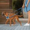 Rogz Stop-Pull Harness Belden Boğma Köpek Göğüs Tasması Siyah Medium