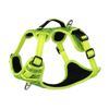 Rogz Utility Explore Harness Köpek Göğüs Tasması Yeşil XLarge