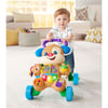 Fisher Price Eğitici Köpekcik Yürüteç FTG10