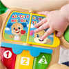 Fisher Price Eğitici Köpekcik Yürüteç FTG10
