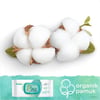 Prima Pampers Aqua Pure Islak Havlu 9x48 Adet