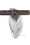 Tavuz Kuşu Tüyü 25-27 cm 1 adet