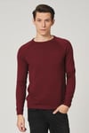 ALEXANDERGARDI BİSİKLET YAKA REGULAR FİT KAZAK (AG504002)