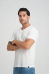 ALEXANDERGARDI FİTİLLİ V YAKA REGULAR FİT T-SHİRT (E24-74602)