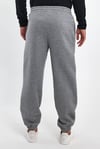 ALEXANDERGARDI ŞARDONLU JOGGER EŞOFMAN ALTI (B23-0029)