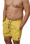 4a2fd442-3796-49dd-bf35-e5b46497f8ff-b-ad00.png