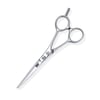 Kasho Japan Makas Design Master KDM 55 S