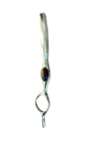 Matsuzaki Gold Ustura